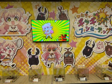 JOYPOLIS 特別イベントスペースに投稿された画像（2024/8/18）