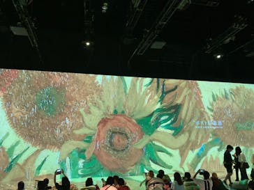 Immersive Museum OSAKA 2025に投稿された画像（2024/8/18）