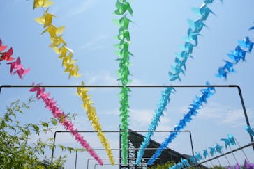 やまぐちフラワーランドに投稿された画像（2024/8/18）