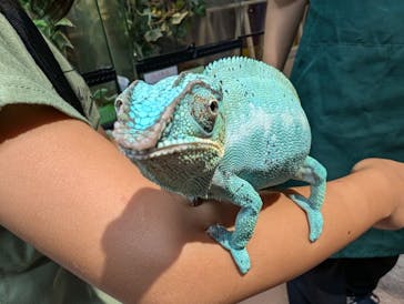 いきもの探検隊上尾に投稿された画像（2024/8/18）