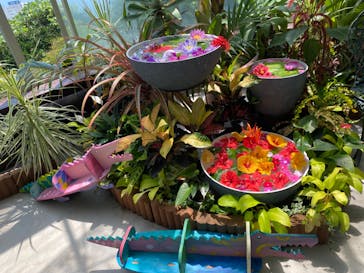 熱川バナナワニ園に投稿された画像（2024/8/18）