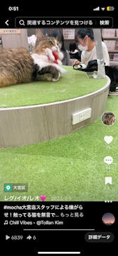 猫カフェモカ　アルシェ大宮店に投稿された画像（2024/8/18）