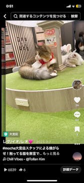 猫カフェモカ　アルシェ大宮店に投稿された画像（2024/8/18）