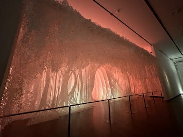 金沢21世紀美術館に投稿された画像（2024/8/18）