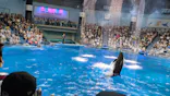 マクセル アクアパーク品川に投稿された画像（2024/8/18）