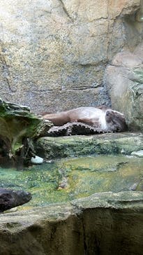 那須どうぶつ王国に投稿された画像（2024/8/18）