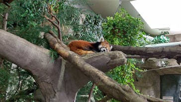 那須どうぶつ王国に投稿された画像（2024/8/18）