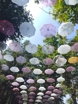 ムーミンバレーパークに投稿された画像（2024/8/18）