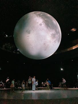 NIFREL（ニフレル）に投稿された画像（2024/8/18）