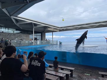 上越市立水族博物館 うみがたりに投稿された画像（2024/8/18）