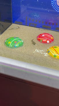 マクセル アクアパーク品川に投稿された画像（2024/8/18）