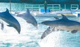 下田海中水族館に投稿された画像（2024/8/18）