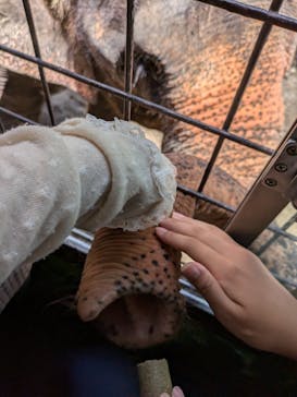 那須サファリパークに投稿された画像（2024/8/18）