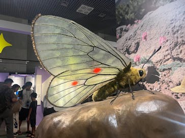 特別展「昆虫 MANIAC」（国立科学博物館）に投稿された画像（2024/8/18）