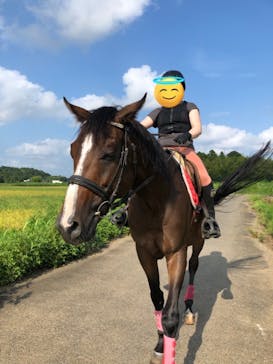 乗馬クラブ 千葉ライディングパークに投稿された画像（2024/8/18）