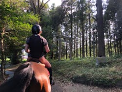 乗馬クラブ 千葉ライディングパークに投稿された画像（2024/8/18）