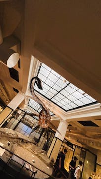 国立科学博物館に投稿された画像（2024/8/18）