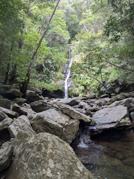 美ら島探検隊TLEBOに投稿された画像（2024/8/18）