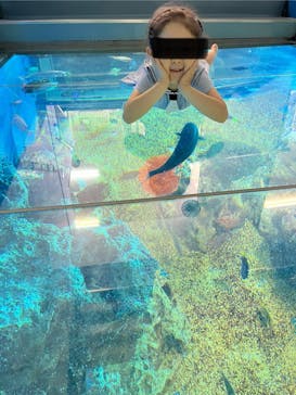 越前松島水族館に投稿された画像（2024/8/18）
