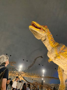 福井県立恐竜博物館に投稿された画像（2024/8/18）