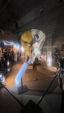 巨大恐竜展2024に投稿された画像（2024/8/18）