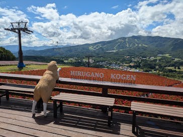 ひるがのピクニックガーデンに投稿された画像（2024/8/18）