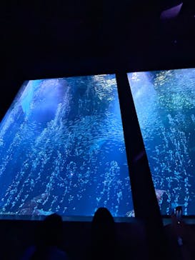 マリンワールド海の中道に投稿された画像（2024/8/18）