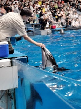 マクセル アクアパーク品川に投稿された画像（2024/8/18）