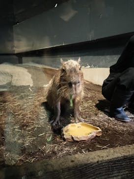 マクセル アクアパーク品川に投稿された画像（2024/8/18）