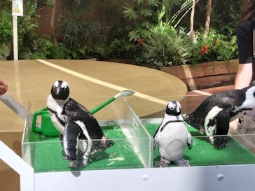 マクセル アクアパーク品川に投稿された画像（2024/8/18）