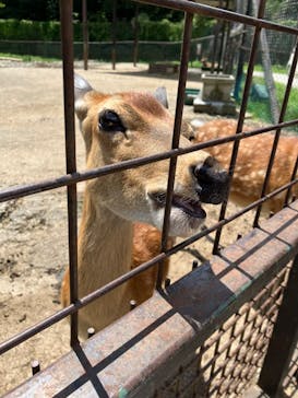 那須サファリパークに投稿された画像（2024/8/18）