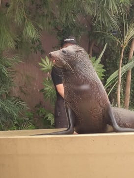 マクセル アクアパーク品川に投稿された画像（2024/8/18）