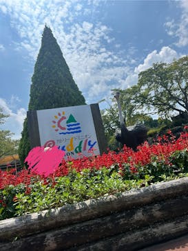 阿蘇カドリー・ドミニオンに投稿された画像（2024/8/18）