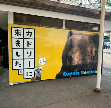 阿蘇カドリー・ドミニオンに投稿された画像（2024/8/18）