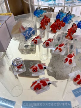 森のガラス館に投稿された画像（2024/8/18）