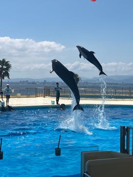 マリンワールド海の中道に投稿された画像（2024/8/18）