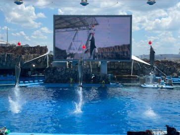 名古屋港水族館に投稿された画像（2024/8/18）