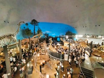 福井県立恐竜博物館に投稿された画像（2024/8/18）