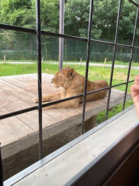 那須サファリパークに投稿された画像（2024/8/18）