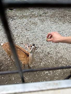 那須サファリパークに投稿された画像（2024/8/18）