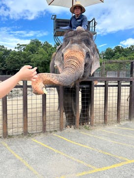 那須サファリパークに投稿された画像（2024/8/18）