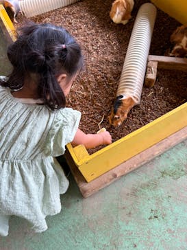 那須サファリパークに投稿された画像（2024/8/18）