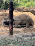 恩賜上野動物園に投稿された画像（2024/8/18）