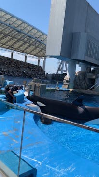 名古屋港水族館に投稿された画像（2024/8/18）