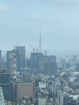 東京タワーに投稿された画像（2024/8/18）