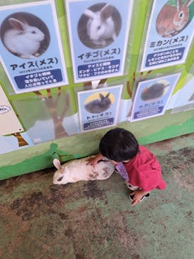 那須サファリパークに投稿された画像（2024/8/18）