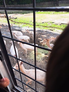 那須サファリパークに投稿された画像（2024/8/18）