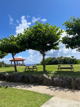 沖縄ダイビングショップシーモールに投稿された画像（2024/8/18）