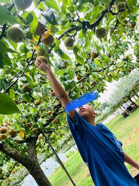 びわこもりやまフルーツランドに投稿された画像（2024/8/18）