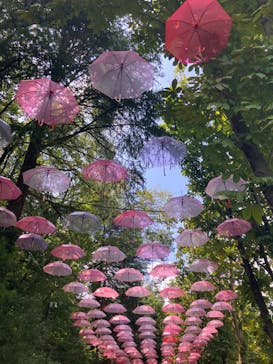 ムーミンバレーパークに投稿された画像（2024/8/18）